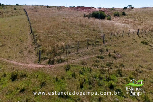 PASSEIO BAIXO E SAIBRE.00_03_00_15.Quadro020_c7b7d4fda47d88c5d56b9747293af52d6771fbd0.jpg